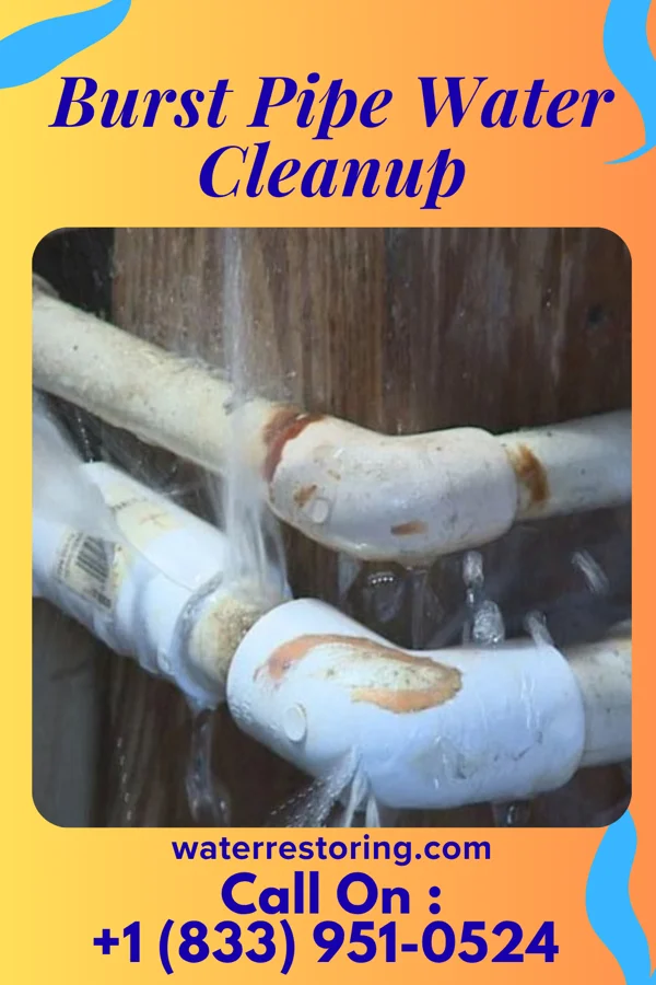 Burst Pipe Water Cleanup in Painesville, OH