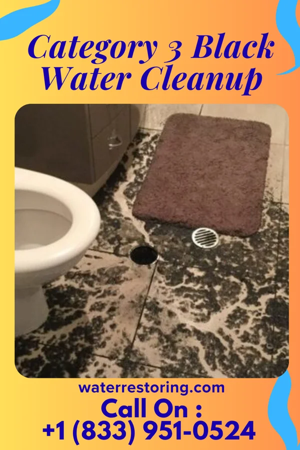 Category 3 Black Water Cleanup in Painesville, OH