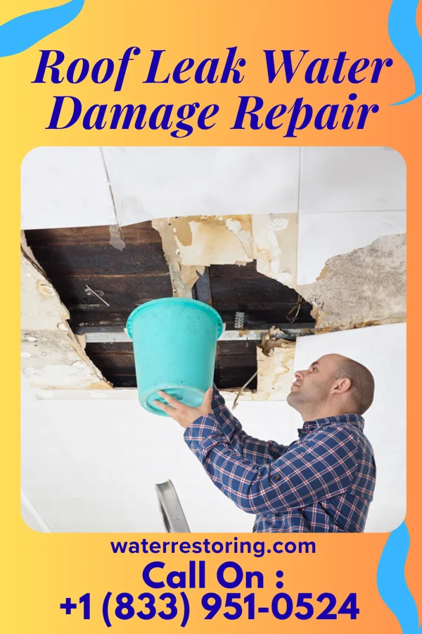 Roof Leak Water Damage Repair in Painesville, OH