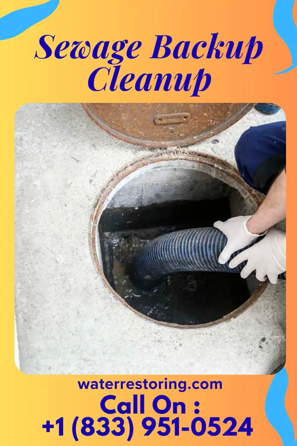 Sewage Backup Cleanup in Painesville, OH
