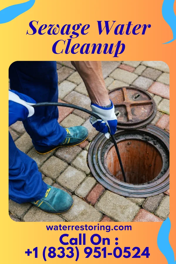 Sewage Water Cleanup in Painesville, OH