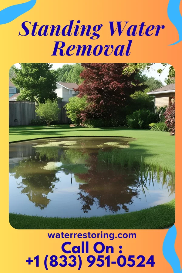 Standing Water Removal in Painesville, OH